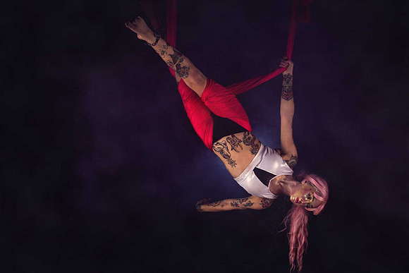 Gracie - suspended