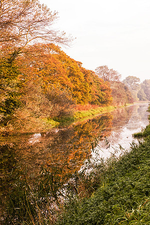 autumn_canal_web